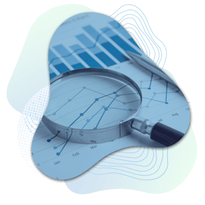 Custom BI Reporting