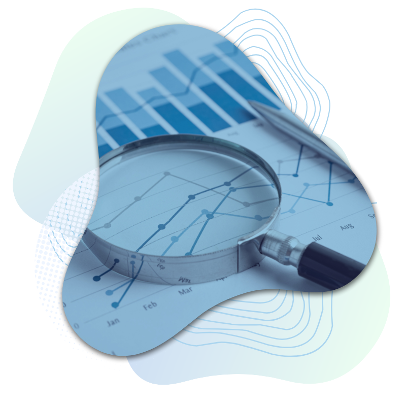 (L) Service Image - Custom BI Reporting